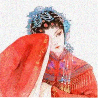 读者乔巴的樱花头像